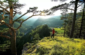 Alasan Mengapa Anda Harus Kembali ke Alam untuk Liburan Anda Berikutnya